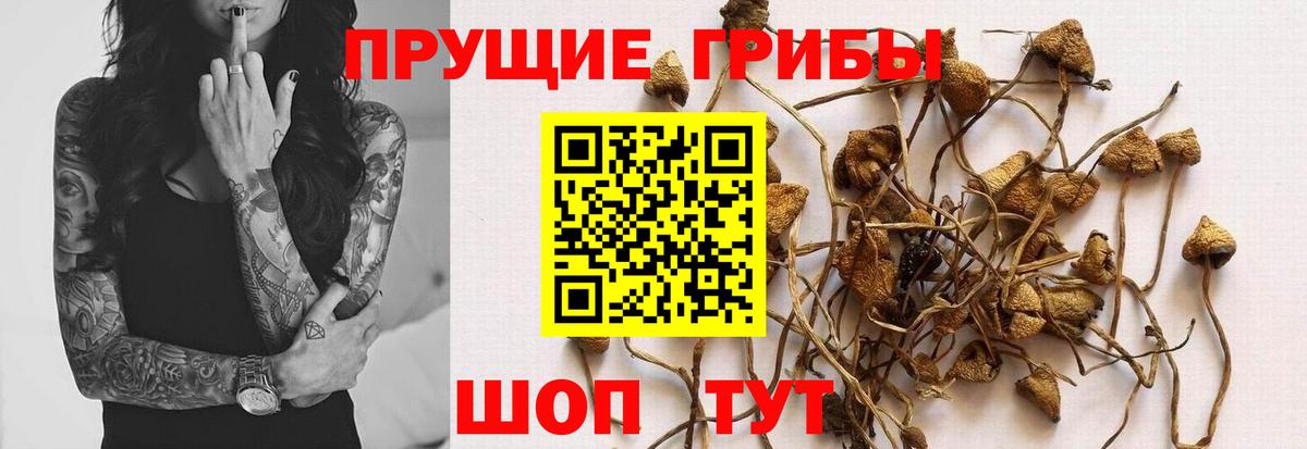 Галлюциногенные грибы GOLDEN TEACHER  Вход с VPN  Ирбит 