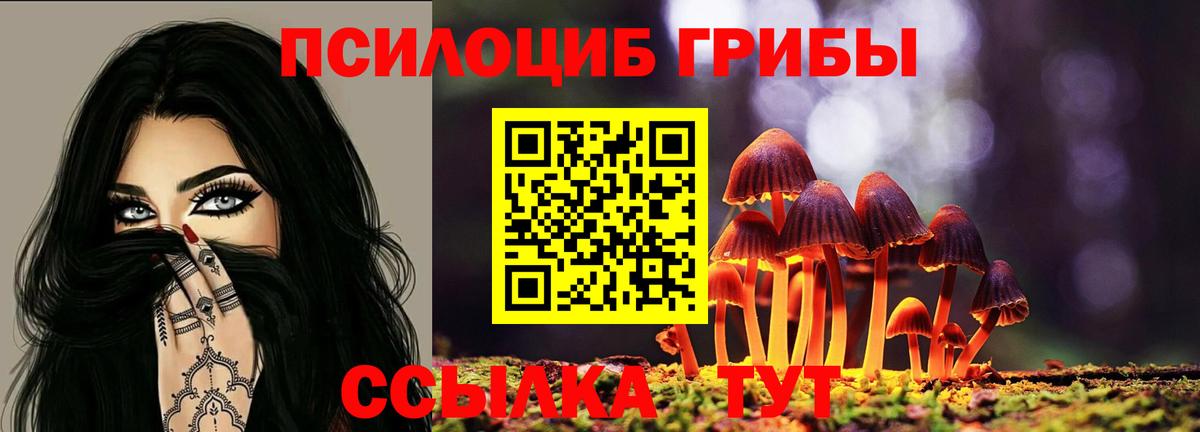 Галлюциногенные грибы MAGIC MUSHROOMS Ирбит